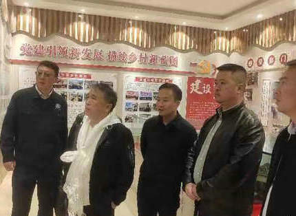 王志宏參加水利部援藏工作會議并調研公司定點幫扶村