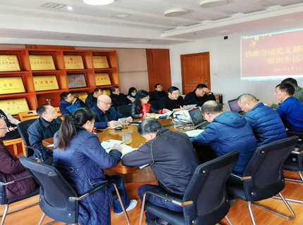 澧能公司黨支部召開2022年度組織生活會暨民主評議黨員會議