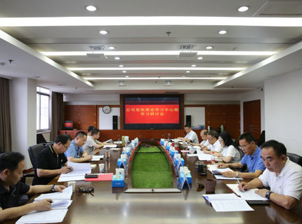 澧水公司黨組理論學習中心組開展主題教育第四次集中學習研討