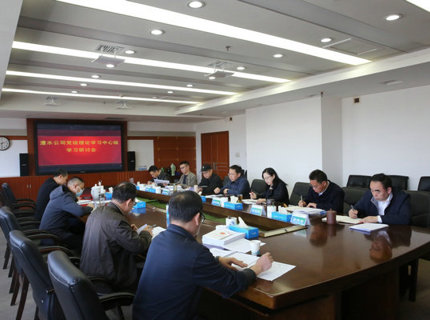 公司黨組理論學(xué)習(xí)中心組學(xué)習(xí)貫徹全國“兩會”精神