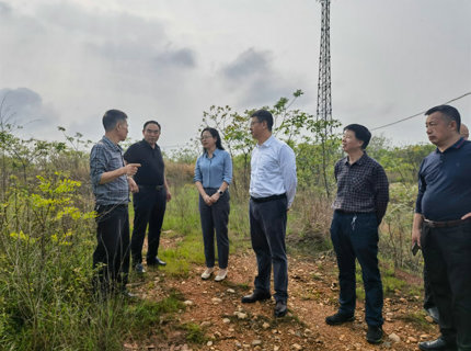 陳印輝帶隊(duì)考察調(diào)研衡陽縣新能源項(xiàng)目