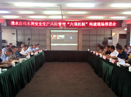 澧水公司召開(kāi)水利安全生產(chǎn)風(fēng)險(xiǎn)管控“六項(xiàng)機(jī)制”構(gòu)建現(xiàn)場(chǎng)推進(jìn)會(huì)