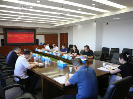 澧水公司黨組召開(kāi)2024年全面從嚴(yán)治黨專題會(huì)議